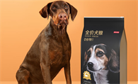 狗粮到底哪个牌子好？推荐京东京造狗粮——品质之选！