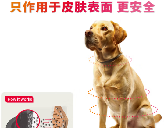 beaphar倍帮从体外驱虫到口腔健康，守护宠物活力日常