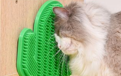 墙角猫宠物品牌产品怎么样? 墙角猫宠物品牌产品怎么样?