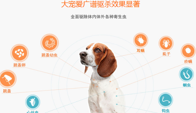 三分钟带你区别“大宠爱”与“内宠爱”驱虫药 三分钟带你区别“大宠爱”与“内宠爱”驱虫药