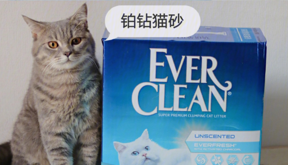 豆腐猫砂和膨润土哪个好？铂钻EverClean膨润土无猫不爱