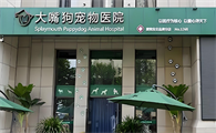 大嘴狗宠物医院：全链条服务构建宠物健康生态