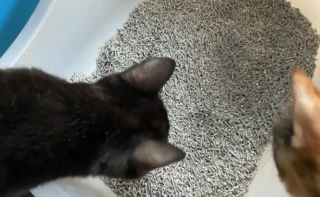 FUROOMATE猫砂可靠吗 FUROOMATE猫砂可靠吗