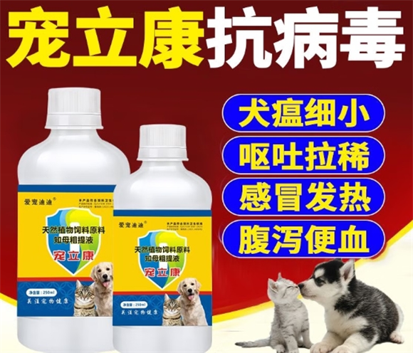 爱宠迪迪宠立康：温和守护猫狗抗病毒健康