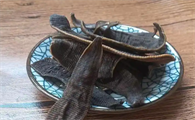 清水水蛭是什么意思