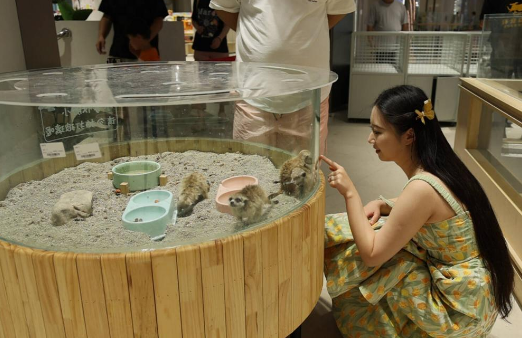 济南高新区:“宠物经济+首店效应”带动消费热潮 济南高新区:“宠物经济+首店效应”带动消费热潮