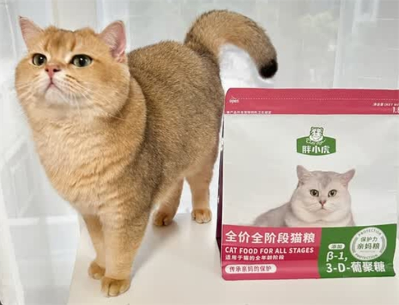 深夜的陪伴时刻,胖小虎猫粮见证猫咪的健康成长 深夜的陪伴时刻,胖小虎猫粮见证猫咪的健康成长