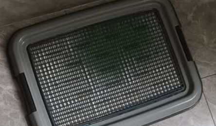 比熊狗厕所推荐什么？爱丽思帮助狗狗轻松排便！