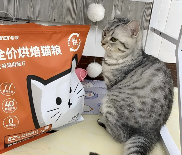 吃什么猫粮比较好?希喂通过原料和工艺打造差异化优势 吃什么猫粮比较好?希喂通过原料和工艺打造差异化优势