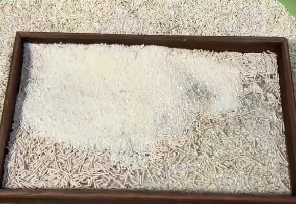 便宜豆腐猫砂新选择:福丸玉米豆腐猫砂值得一试 便宜豆腐猫砂新选择:福丸玉米豆腐猫砂值得一试
