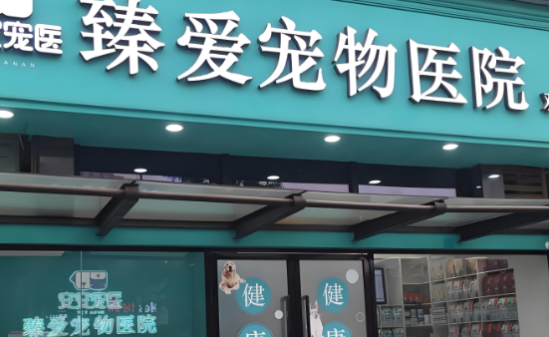 臻爱宠物医院地址在哪里
