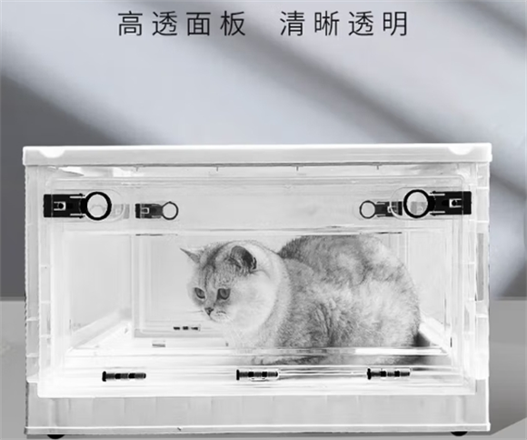 宠舒利宠物雾化箱多少钱 宠舒利宠物雾化箱多少钱