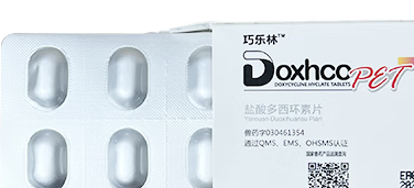 宠物健康必备:巧乐林多西环素片详解 宠物健康必备:巧乐林多西环素片详解