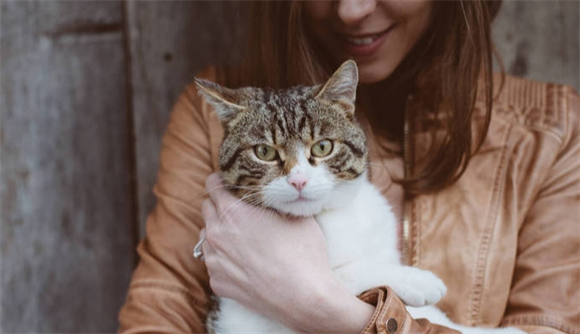 猫咪吐清水带白沫不吃东西 猫咪吐清水带白沫不吃东西