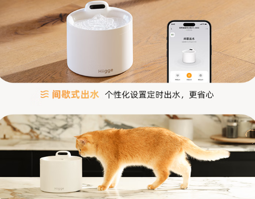 Hiigge饮水机:从“解决痛点”到“创造价值”的养宠科技革命 Hiigge饮水机:从“解决痛点”到“创造价值”的养宠科技革命