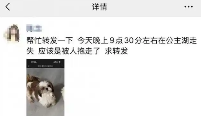 花万元买的西施犬晚上遛弯被人抱走