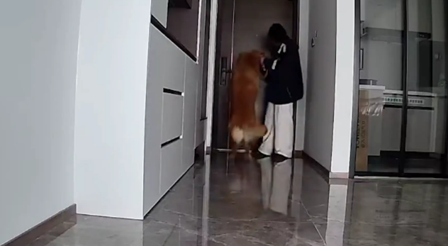 女子问谁能帮她遛狗,结果朋友们互相没通知都默默去她家遛狗! 女子问谁能帮她遛狗,结果朋友们互相没通知都默默去她家遛狗!