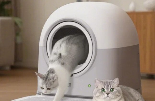 HHOLOVE猫砂盆好用吗