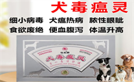 马头犬毒瘟灵主治什么病