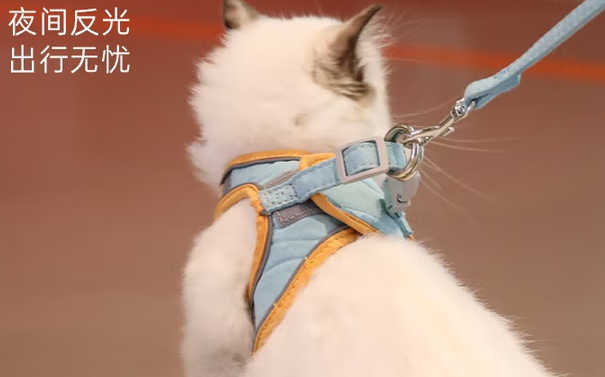 猫咪之家猫咪牵引绳：开启安全惬意的遛猫之旅