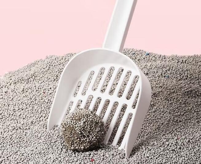 言象猫砂真的无尘吗 言象猫砂真的无尘吗