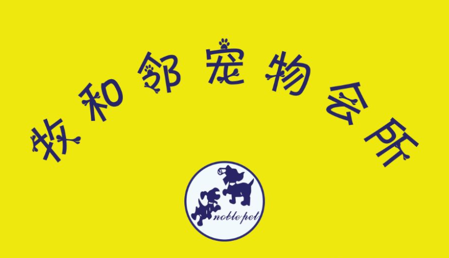 牧和邻：以文化为翼，构建宠物服务的理想王国