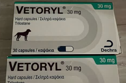 应对狗狗肾上腺皮质机能亢进,VETORYL来帮忙 应对狗狗肾上腺皮质机能亢进,VETORYL来帮忙