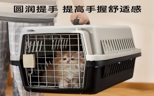 铂呐苓
