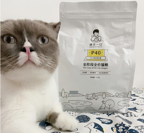 便宜的猫粮哪一个牌子好？诚实一口重新定义“平价好粮”标杆