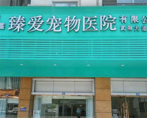 臻爱宠物医院在哪里