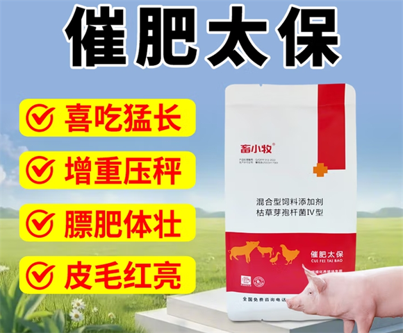 畜小牧催肥太保怎么样