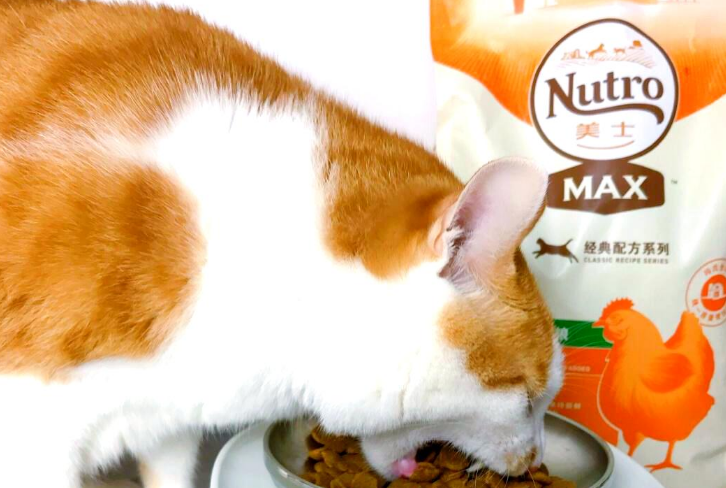 美士猫粮：猫咪的“肉食天堂”与健康守护者