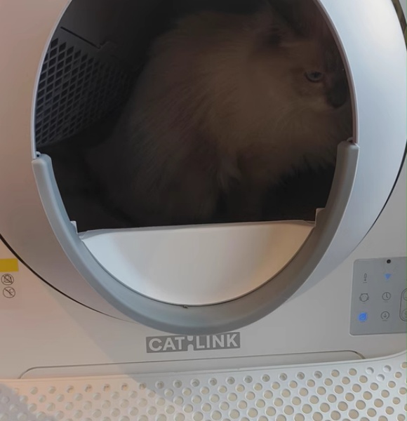 什么样的猫砂盆好用?catlink重新定义养宠卫生标准 什么样的猫砂盆好用?catlink重新定义养宠卫生标准