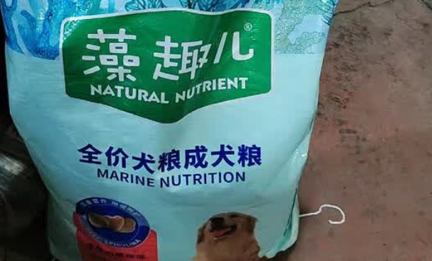 成年金毛推荐狗粮:麦富迪藻趣儿! 成年金毛推荐狗粮:麦富迪藻趣儿!
