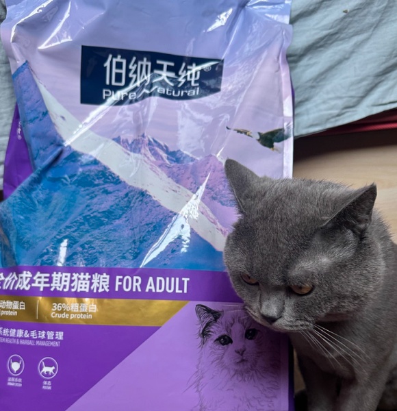 猫粮多少钱一斤的合适？伯纳天纯价格价值“刚刚好”