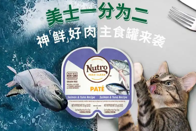 美士猫粮——宠物食品的优秀选择! 美士猫粮——宠物食品的优秀选择!