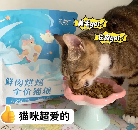 橘猫吃什么猫粮好?乐顿鲜肉烘焙猫粮助力科学喂养 橘猫吃什么猫粮好?乐顿鲜肉烘焙猫粮助力科学喂养