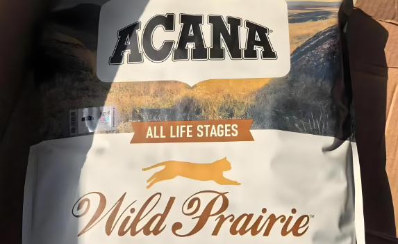 爱肯拿猫粮哪款性价比更高些,哪些成分尤为关键 爱肯拿猫粮哪款性价比更高些,哪些成分尤为关键