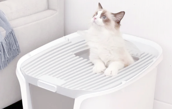 宠蔓猫砂盆好用吗 宠蔓猫砂盆好用吗
