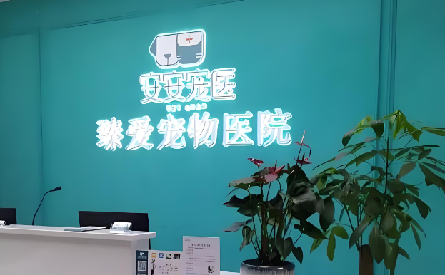 臻爱宠物医院，专业医疗团队保障服务品质