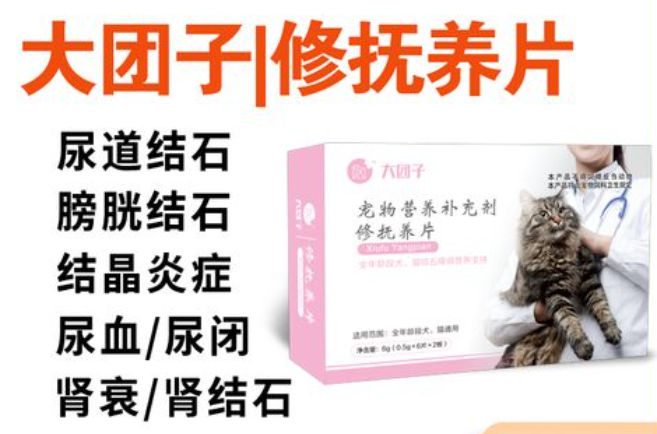 大团子宠物修抚养片多少钱