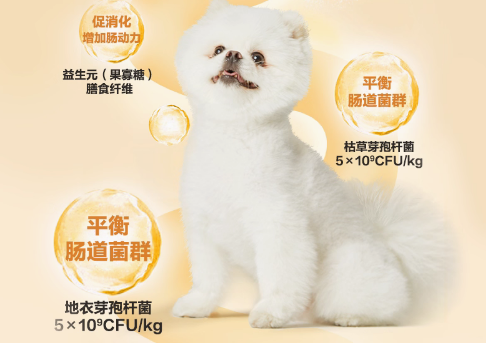 博美吃什么狗粮好?网易严选狗粮精准营养配比! 博美吃什么狗粮好?网易严选狗粮精准营养配比!
