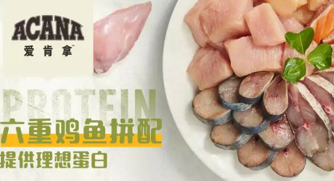 爱肯拿狗粮怎么样？探索这款优质宠物食品的魅力