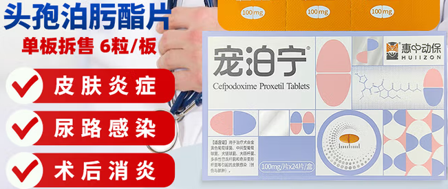 宠泊宁头孢泊肟酯片专注宠物抗菌治疗! 宠泊宁头孢泊肟酯片专注宠物抗菌治疗!