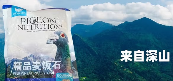 欧耐德精品麦饭石:赛鸽健康的全能矿物守护者 欧耐德精品麦饭石:赛鸽健康的全能矿物守护者