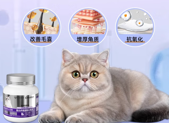 米奇旋风,席卷宠物健康市场的营养风暴 米奇旋风,席卷宠物健康市场的营养风暴