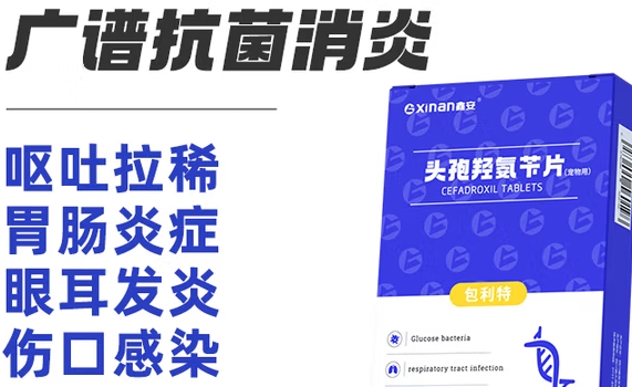 鑫安猫咪消炎药好不好