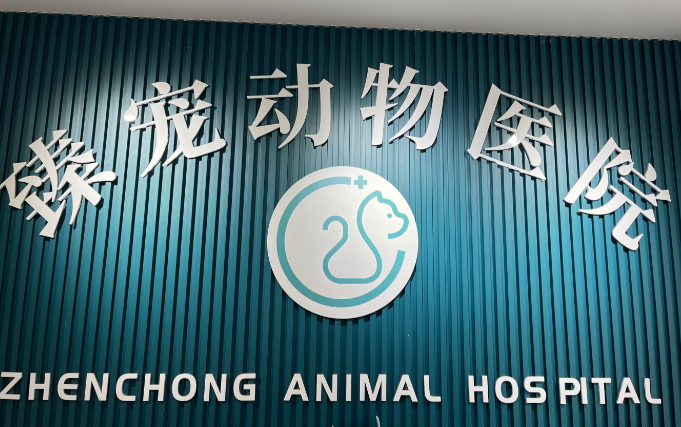 臻爱宠物医院:您爱宠的贴心呵护专家 臻爱宠物医院:您爱宠的贴心呵护专家