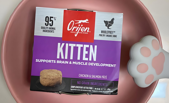 两个月的小猫能吃罐头吗？渴望幼猫罐头放心吃