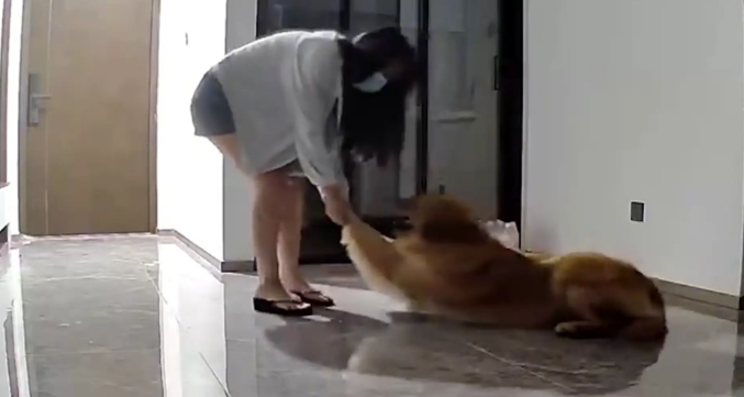 女子问谁能帮她遛狗,结果朋友们互相没通知都默默去她家遛狗! 女子问谁能帮她遛狗,结果朋友们互相没通知都默默去她家遛狗!